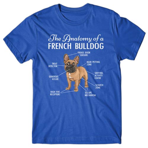 French bulldog clothing australia best sale