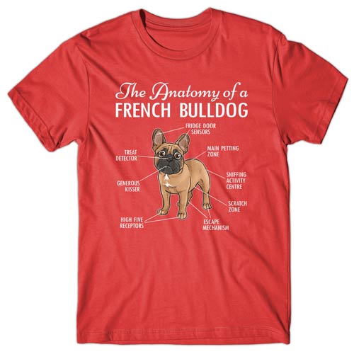 Anatomy of a French Bulldog T-shirt – Dogs Corner