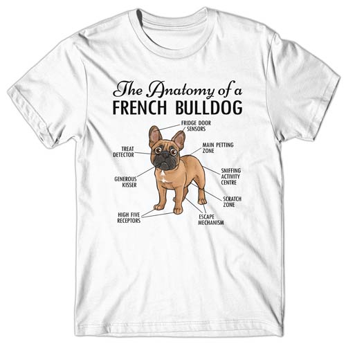 Anatomy of a French Bulldog T-shirt – Dogs Corner